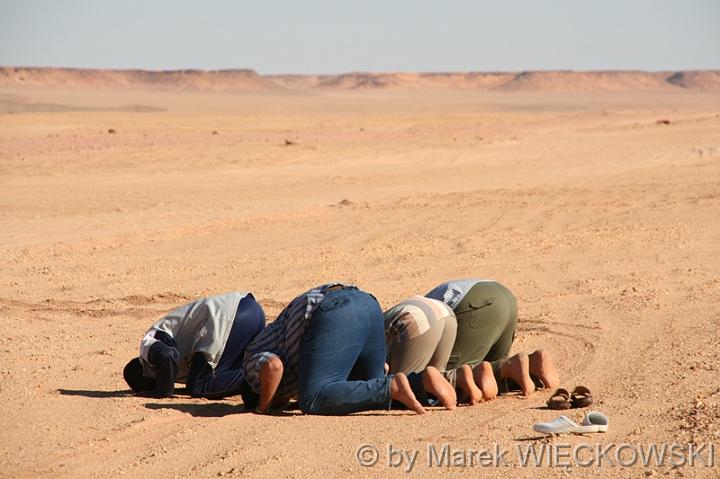0_sahara 016